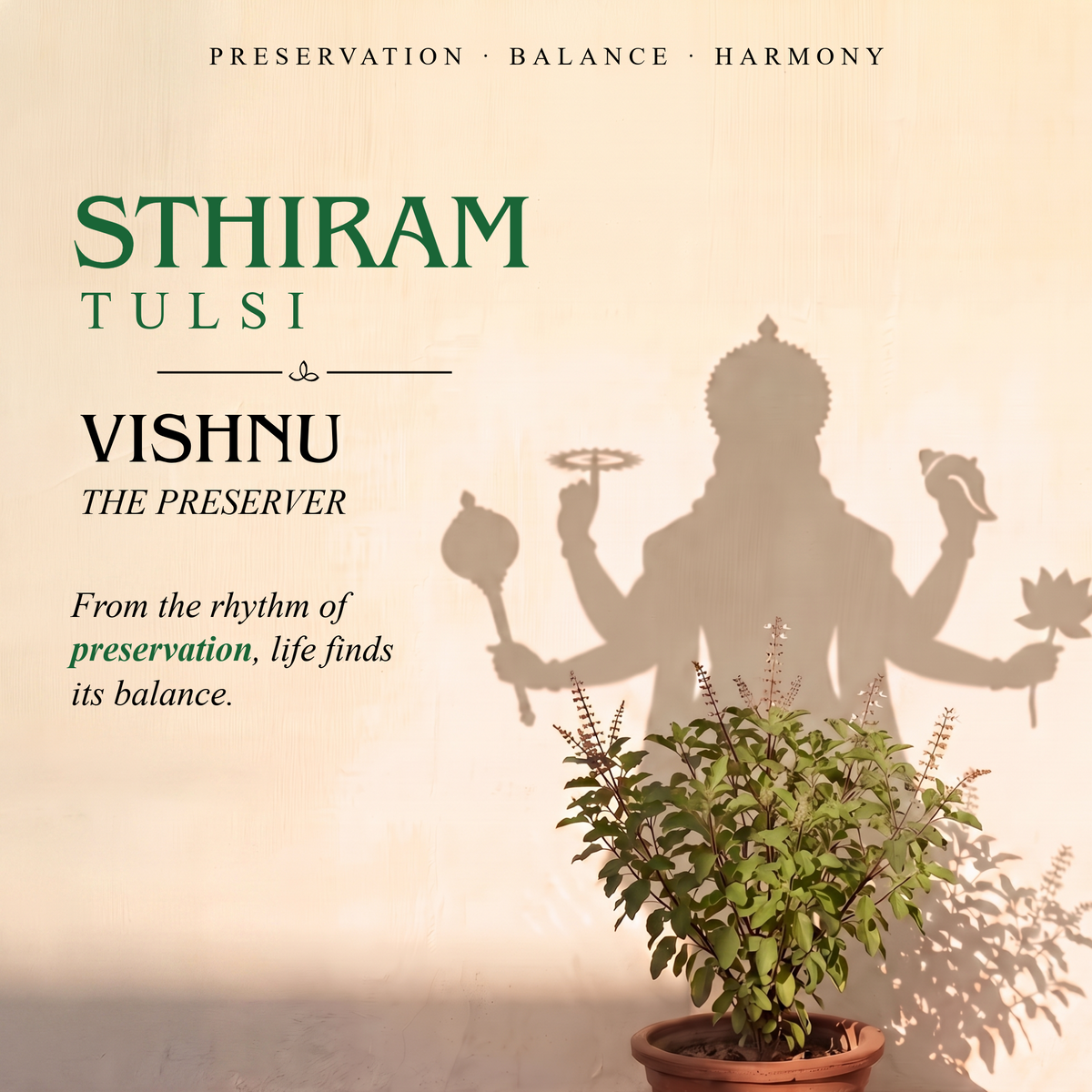 STHIRAM | Tulsi - Camphor Shower Gel