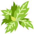 Handpicked Herbs