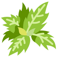 Handpicked Herbs