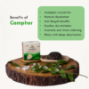sswas Handmade Camphor Soap - Neem