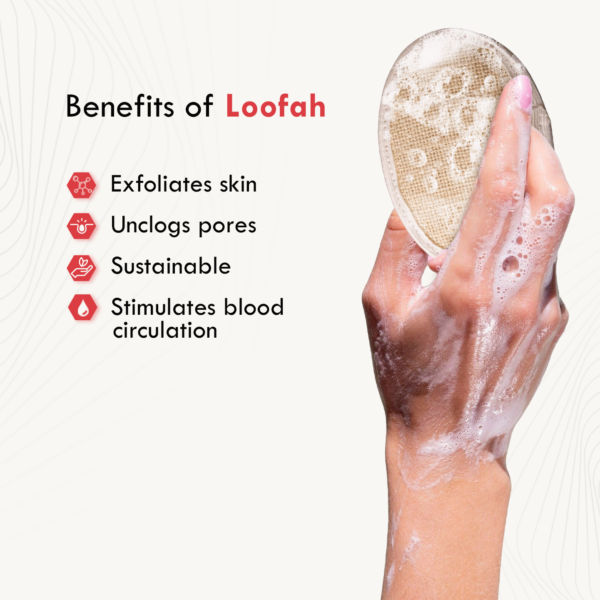 sswas Loofah