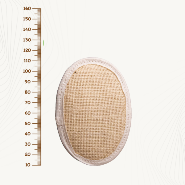 sswas Loofah