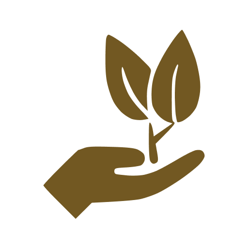 Eco-Friendly Icon